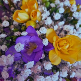Mixed Freesia Hand Tied Bouquet
