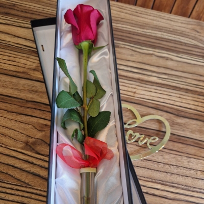 Perfection Rose in a Box