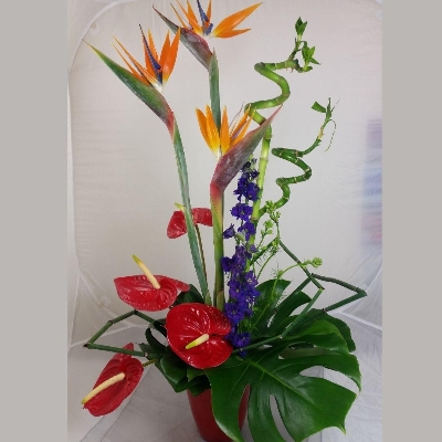 Modern Tropical Flower Arrangement