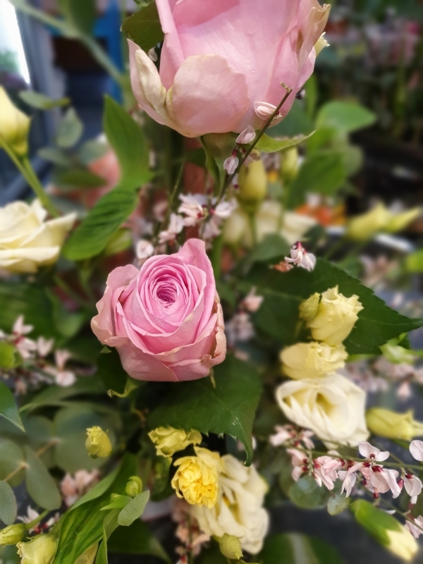 Florist Choice Hand Tied Bouquet