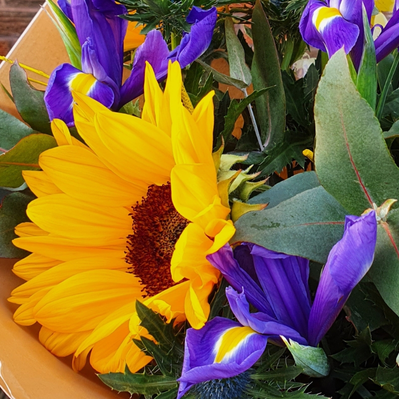 Sunny Sunflowers