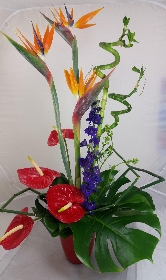 Flower Arrangements