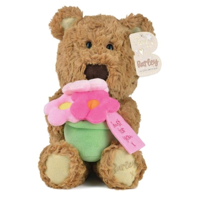 Barley Bear Flower Pot