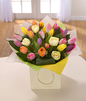 Rainbow Tulip Hand Tied Bouquet