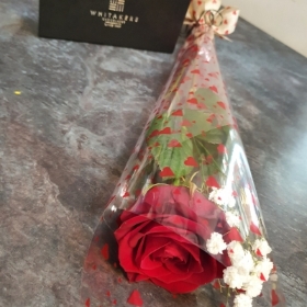 Single Rose Gift Set
