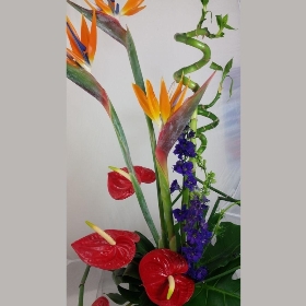 Modern Tropical Flower Arrangement