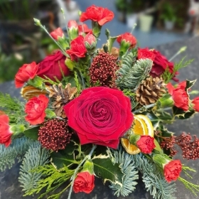 Festive Posy Arrangement