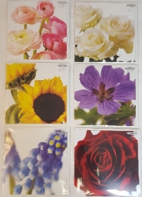 Festive Posy Arrangement