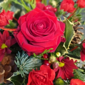 Merry Christmas Flower Arrangement