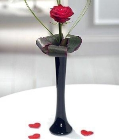Secret Admirer Single Rose