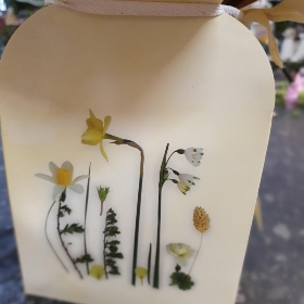 Bold Hand Tied Bouquet in a Gift Bag