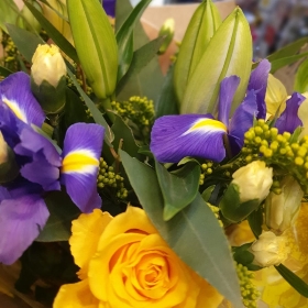 Bold Hand Tied Bouquet in a Gift Bag